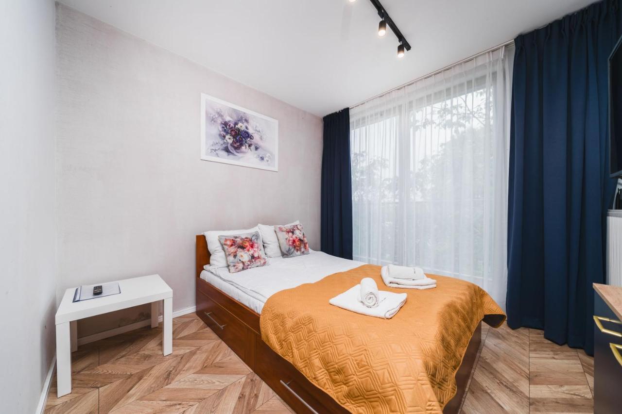 Apartament Ice *