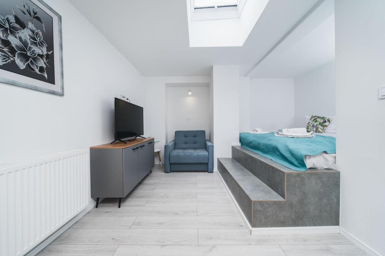 Apartament Ice *